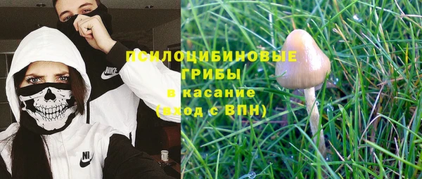 винт Баксан