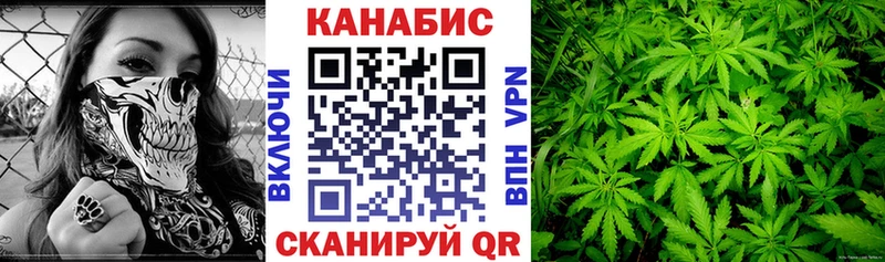 Марихуана сатива Дубовка